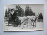 ZAKOPANE PSI ZAPRZĘG PIES PSY PAMIATKA Z ZAKOPANEGO stara FOTOGRAFIA
