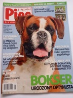 Przyjaciel Pies nr 9 2011 Bokser + plakaty Bokser i Jack russell terrier