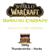 1000g WoW TBC ANNIVERSARY SERWER THUNDERSTRIKE HORDA