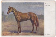 Koń Konie lata 30 malował H. Klein Malarstwo POLSKIE 877A