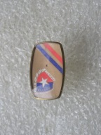 TS WISŁA KRAKÓW 1906 ROK SPINKA DO KOSZULI 1 SZTUKA
