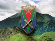 ODZNAKA WOJSKOWA -FRANCJA