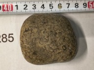 Skamieniałe koralowce algi glony agaty muszlowe