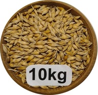 Jęczmień Konsumpcyjny/Paszowy, 10kg, 2025r