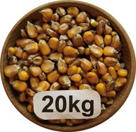 Kukurydza Żółta, DROBNA, Flint, od Rolnika, 20kg, 2025r