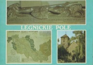 LEGNICKIE POLE - MUZEUM BITWY POD LEGNICĄ - KOŚCIÓŁ