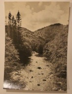 BIESZCZADY. Nasiczniański Potok - ORYGINALNA PIECZĄTKA