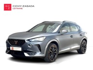 Cupra Formentor VZ 310KM 4x4DSG Szary MAT 19 Kam.360 Kubelki Beats El.Baga