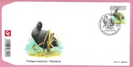 Belgia 2010, FDC st.Bruxelles, ptaki łyska chruściel