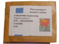 Aksamitka rozpierzchła Tagetes patula L. Z OGRODU CZAROWNICY 2g nasiona