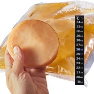 GRZYB HERBACIANY KOMBUCHA SCOBY STARTER NA 3 LITRY + TERMOMETR + GRATISY