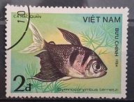 Ryby (kas) - luzak - do uzupełnień 13/3