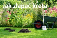 Poradnik jak złapać kreta. Pułapka na kreta