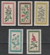 NIEMCY NRD DDR - ROŚLINY - FLORA - CZYSTE **