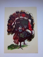 INDYK rys. Janusz Grabiański - pocztówka z 1971 r