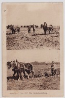 C.K. Żołnierze przerwa w walce orka konie ok.1916r. 791b