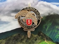 ODZNAKA WOJSKOWA -FRANCJA