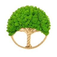 Drzewko Szczęścia Chrobotek, żywy obraz handmade, dekoracja na ścianę