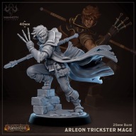Arleon, Trickster Mage - Roadside - figurka RPG DnD D&D - druk 3D 14K