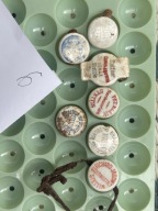 Porcelanki kapsle stettin zestaw 6