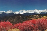 CHINy - Meili Snow Mountains - Rizhao Jinshan - JUNNAN Province