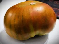 Pomidor Arbuzowy/ Arbuznyj (215) nasiona kolekcjonerskie