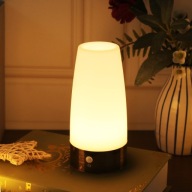 Lampa stołowa, retro lampka nocna LED Guijiyi 2szt.