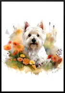 A2 PLAKAT PIES W KWIATACH RASA WEST HIGHLAND WHITE TERRIER