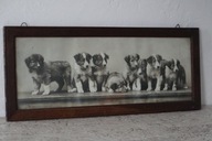 Obraz Plakat Zdjęcie Retro