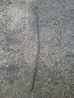 PODPORA PODPÓRKA BAT MASKI MONDEO MK4