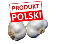 Czosnek Polski od rolnika (odmiana Jarus) 1kg