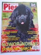 Przyjaciel Pies magazyn Nowofundland nr 7 lipiec 2012