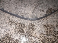 Listwa zderzaka prawy przód LAGUNA II G000158144