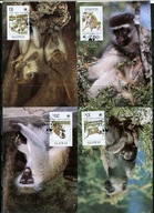 A51666)WWF-Maximum Karty Ssaki: St. Kitts 184 - 187