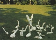 karton JÓZEF WILKOŃ GĘSI KAPITOLIŃSKIE reprodukcja BESTIARIUM WILKONIA