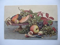 MARTWA NATURA WINOGRONA JABŁKO PATERA NÓŻ GRUSZKA przedwojenna POCZTÓWKA