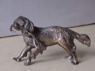 Springer spaniel ze smyczą w pysku.