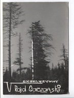 Tylmanowa, V Rajd Gorczański, -T183