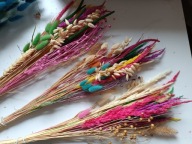 Trawy kolorowe na palmy susz zestaw naturalnych suszonych traw na palmy