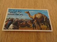 Libia, stare pocztówki 20 szt, Libia rozkładana książka z pocztówkami