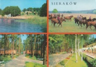 SIERAKÓW - OŚRODEK WYPOCZYNKOWY - PAŃSTWOWE STADO OGIERÓW - KOŃ - KONIE