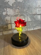 Wieczna róża w pojemniku kopuła podświetlana LED / bajka Piękna i Bestia