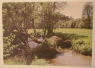 ROZTOCZE. Rezerwat krajobrazowo - leśny "Nad Tanwią"