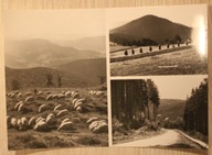 BESKID ŚLĄSKI. Błatnia 917 m - na polanie, Stożek 980 m. Droga na Równicę