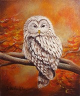 PUSZCZYK URALSKI sowa Obraz 25/30 Sylwiana Herbańska