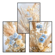 Plakat Zestaw 50x70 3szt. plakaty, postery,BOHO, MINIMALIZM, KWIATY