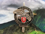 ODZNAKA WOJSKOWA -FRANCJA