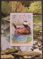 Iran - Mi B 87 - Kaczka