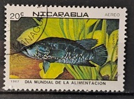 Ryby (kas) - luzak - do uzupełnień 13/8