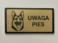 Tabliczka z grawerem uwaga zły pies owczarek niemiecki + GRATIS